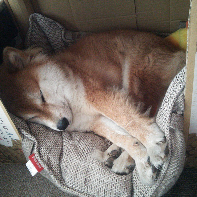 贝恩生涯之夜狂飙40+尼克斯险胜国王背后的沉默与呐喊