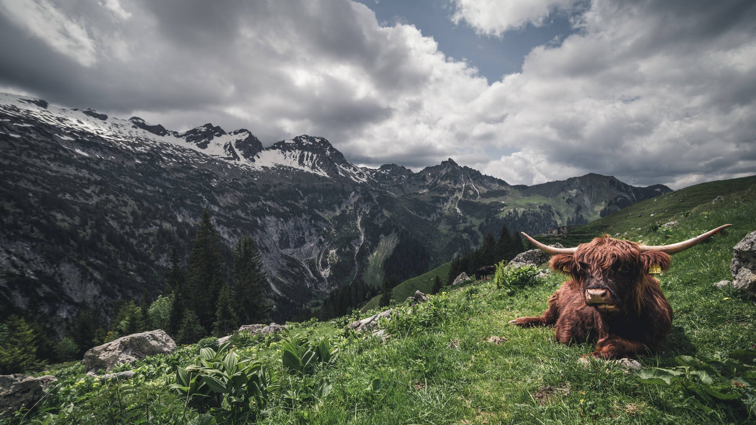 惊天逆转！热火决胜局险胜辽宁，塔图姆末节封神定乾坤