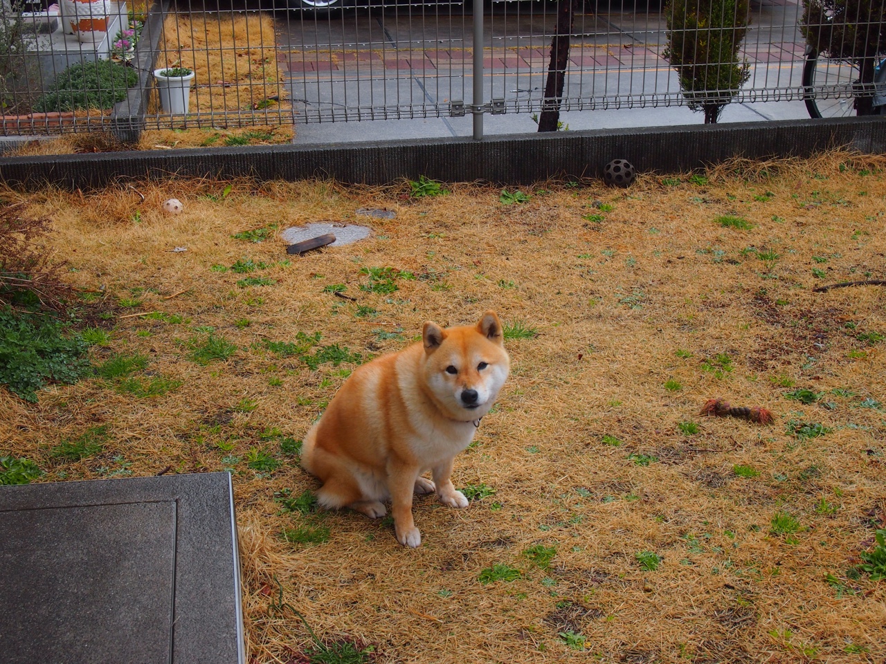 英超争冠焦点战，韩国力量强行终结苏格兰梦想