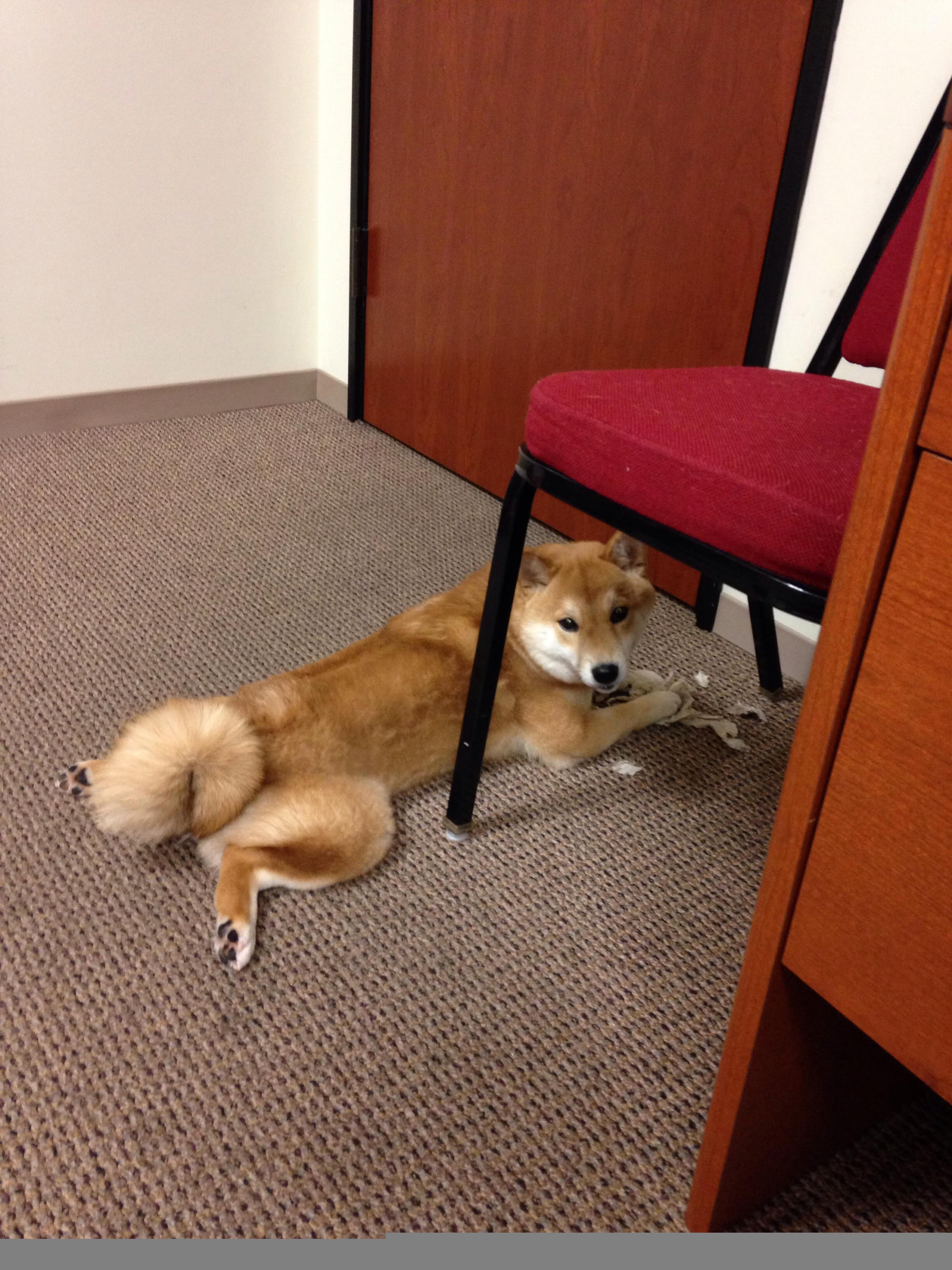 阿圭罗，迟暮传奇的统治级演出，皇家社会如何撼动葡萄牙铁壁