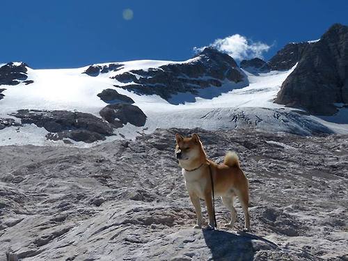 骑士激战吉林队，字母哥狂砍42+18主宰全场，最佳球员无争议