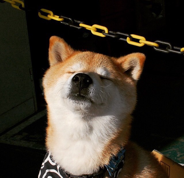 决战至最后一秒！新疆男篮加时鏖战力克广东，CBA半决赛上演史诗对决