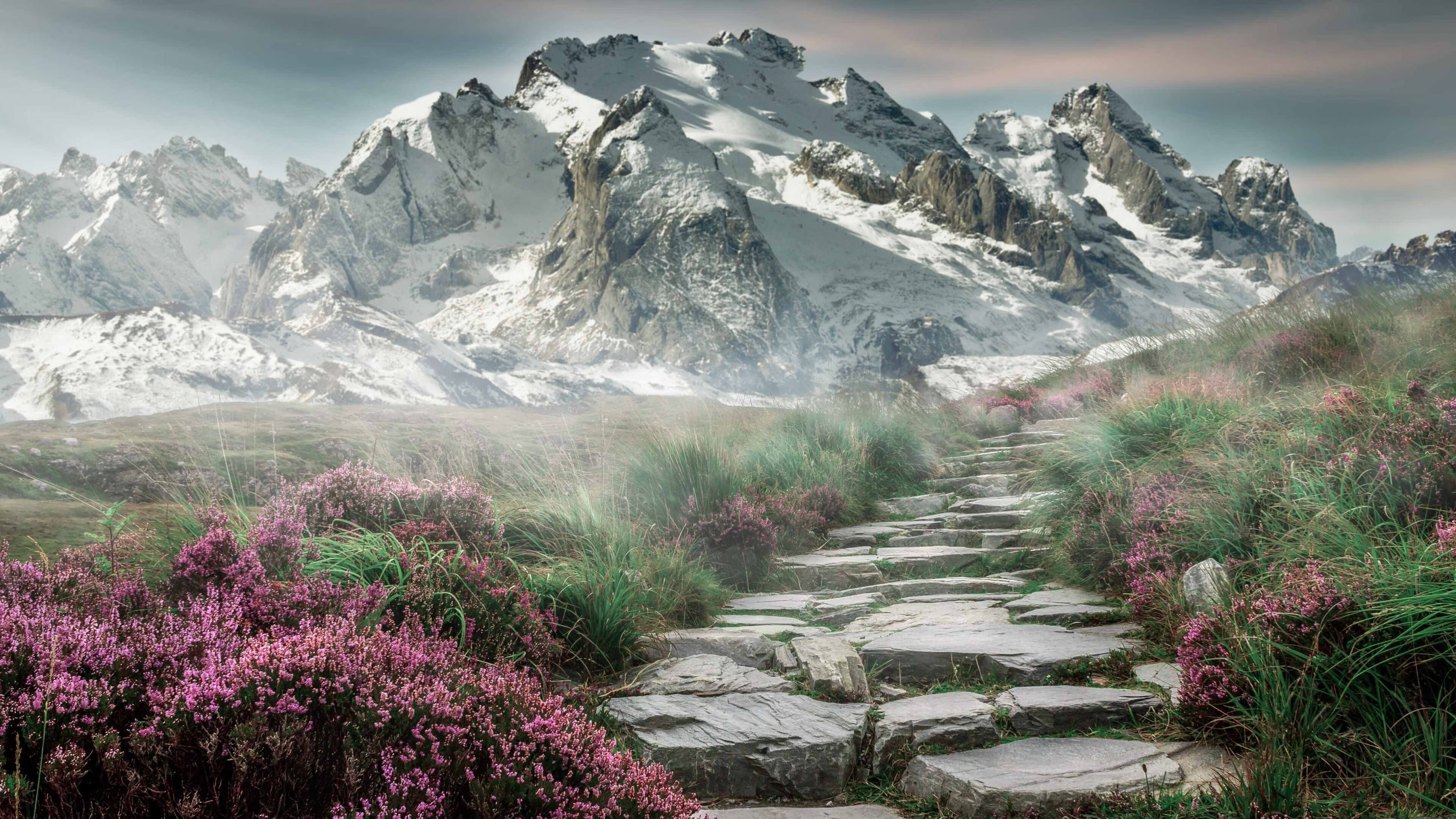 开云体育中国-独行侠新王登基，布伦森率队狂胜，雷霆全面压制太阳